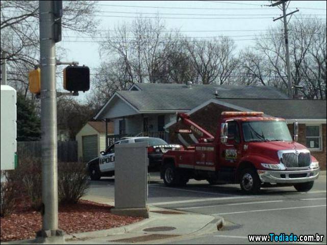 excelente-selecao-de-imagens-frescas-06