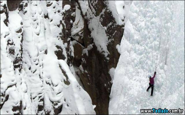 excelente-selecao-de-imagens-frescas-07