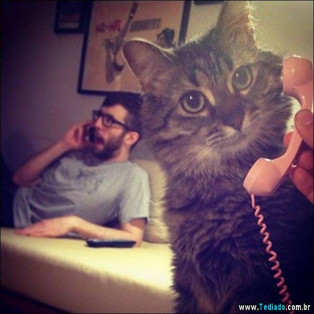 excelente-selecao-de-imagens-frescas-14