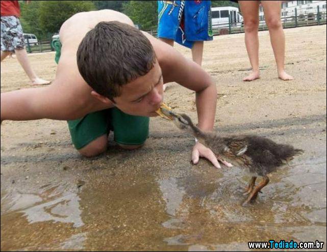 excelente-selecao-de-imagens-frescas-15