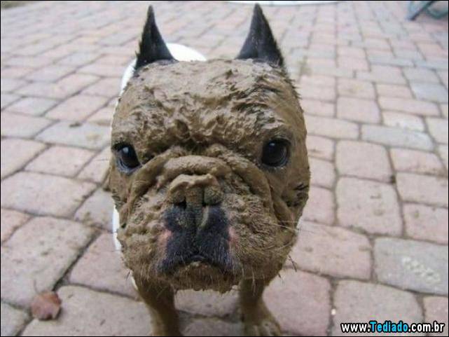 excelente-selecao-de-imagens-frescas-22