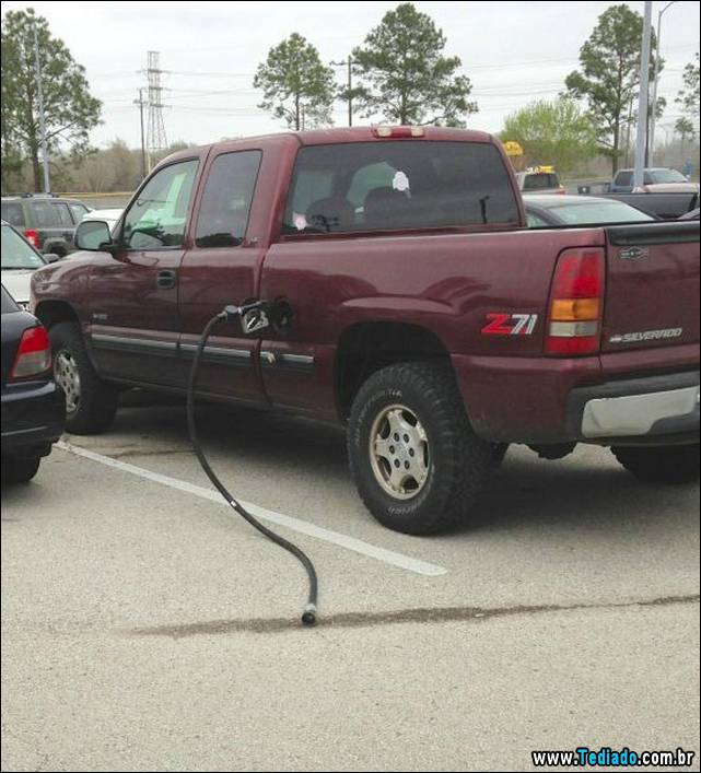 excelente-selecao-de-imagens-frescas-24