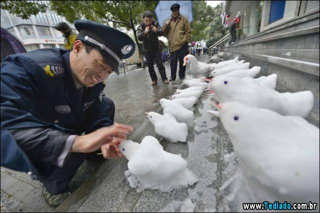 excelente-selecao-de-imagens-frescas-28