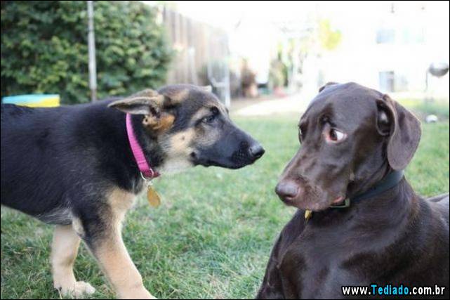 excelente-selecao-de-imagens-frescas-30