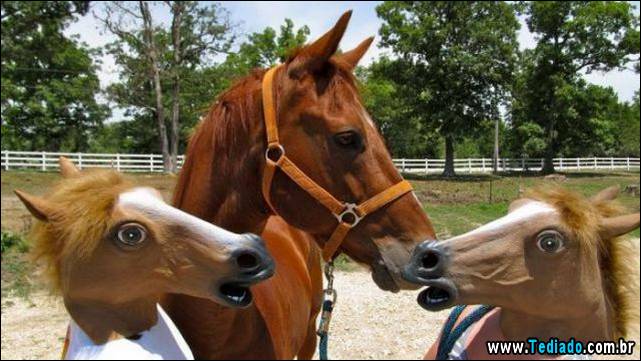 excelente-selecao-de-imagens-frescas-31