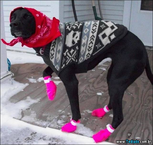 excelente-selecao-de-imagens-frescas-35