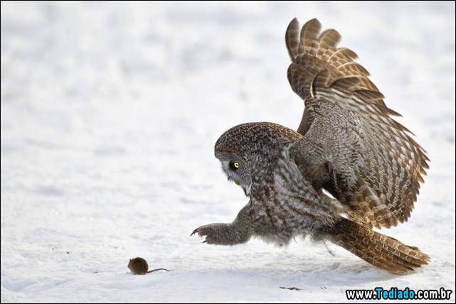 fotos-tiradas-na-hora-certa-02