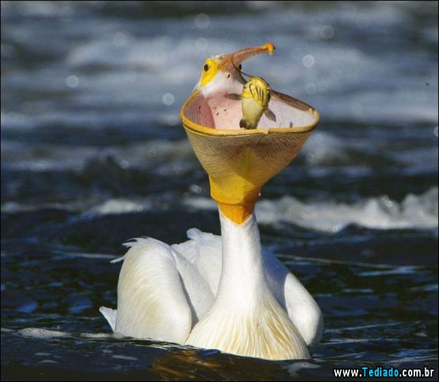 fotos-tiradas-na-hora-certa-03