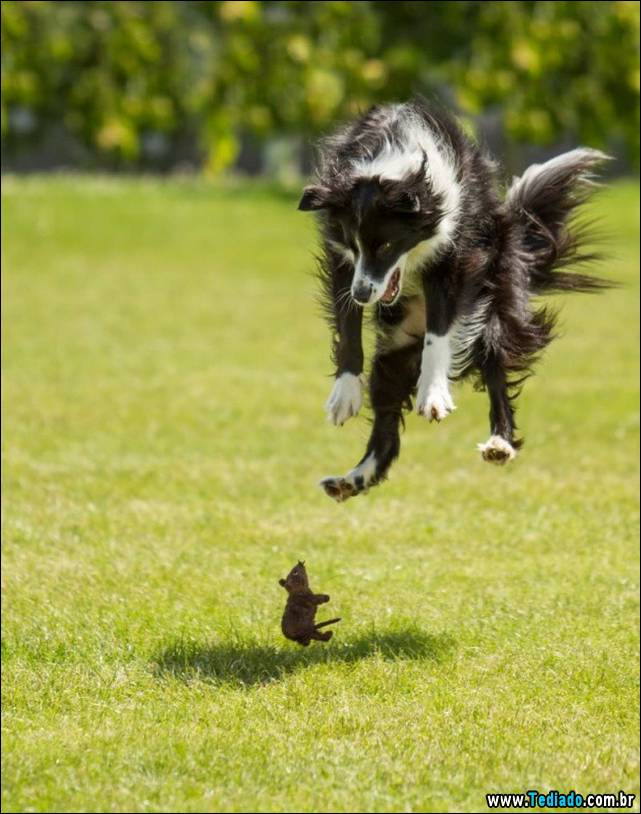 fotos-tiradas-na-hora-certa-06