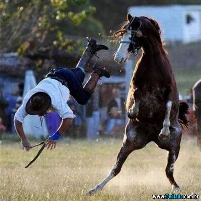 fotos-tiradas-na-hora-certa-09