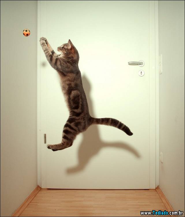 fotos-tiradas-na-hora-certa-11