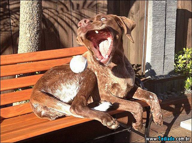 fotos-tiradas-na-hora-certa-15