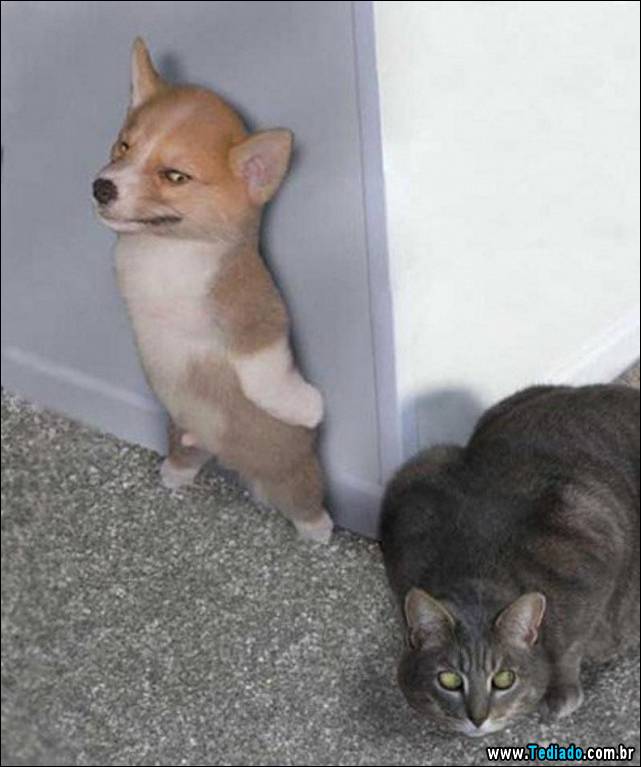 fotos-tiradas-na-hora-certa-23