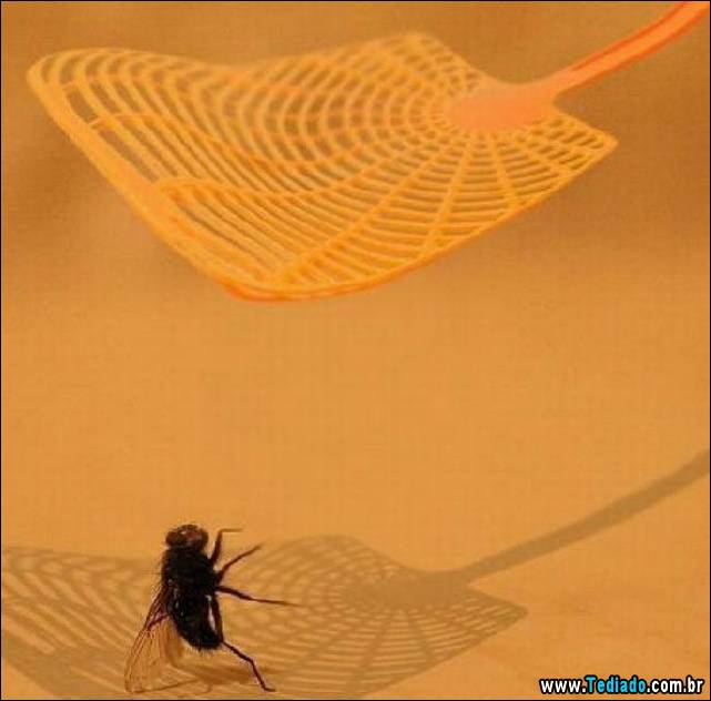 fotos-tiradas-na-hora-certa-32