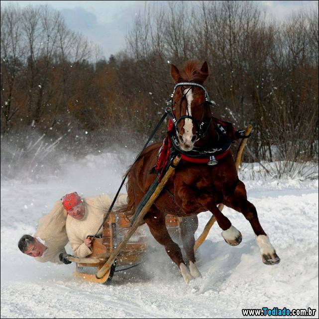 fotos-tiradas-na-hora-certa-33