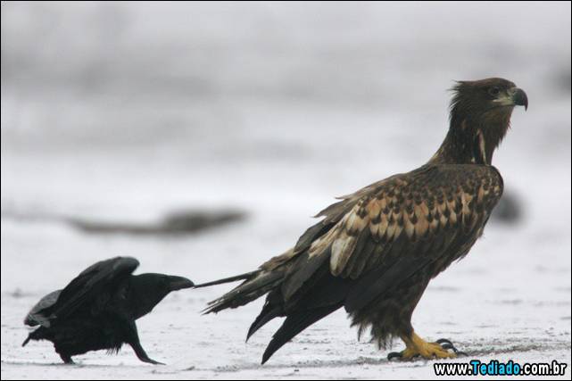 fotos-tiradas-na-hora-certa-35