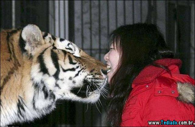 imagens-emocionais-14