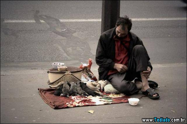 imagens-emocionais-15