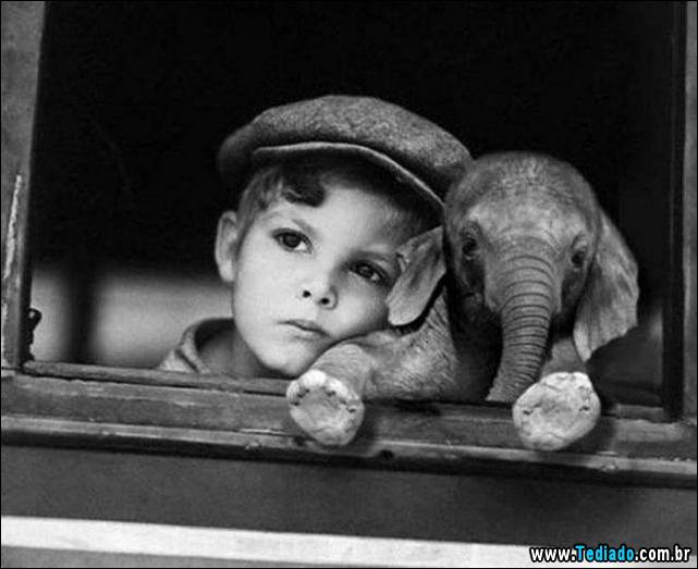 imagens-emocionais-16