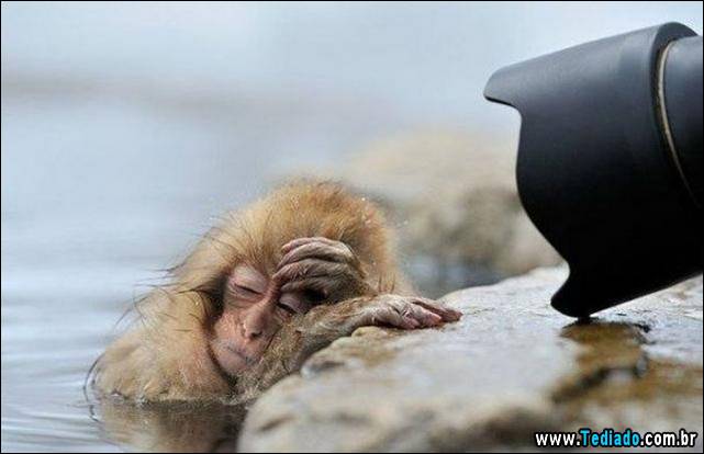 imagens-emocionais-17