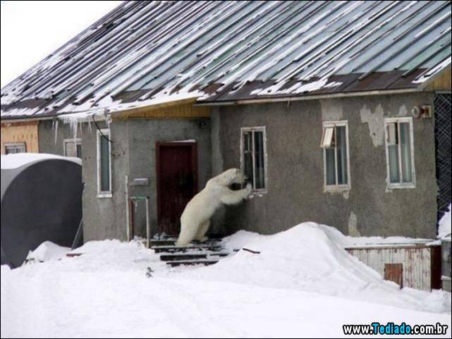 imagens-para-causar-emocoes-diferentes-02