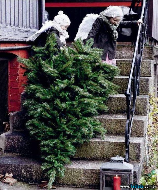 imagens-para-causar-emocoes-diferentes-05