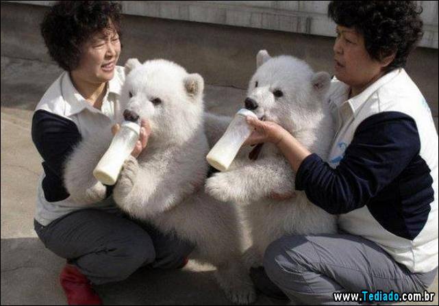 imagens-para-causar-emocoes-diferentes-11