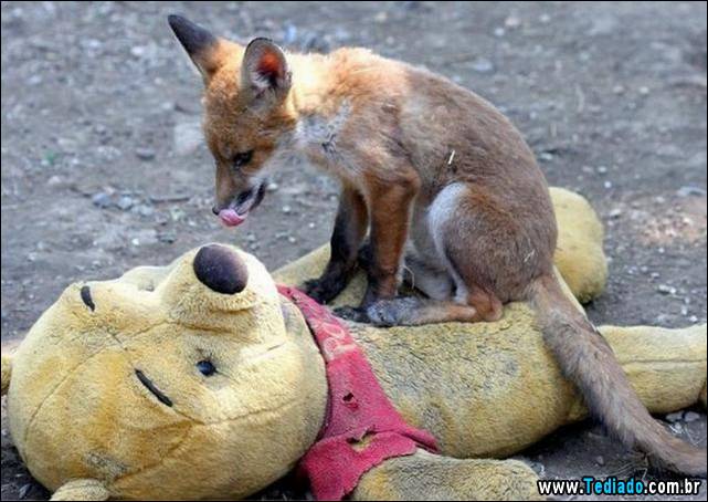 imagens-para-causar-emocoes-diferentes-15