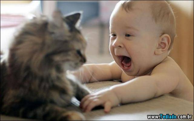 imagens-para-causar-emocoes-diferentes-24