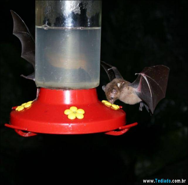 positivo-engracado-04