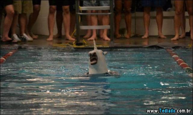 positivo-engracado-18