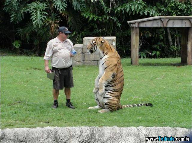 positivo-engracado-24