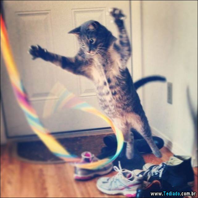 positivo-engracado-28