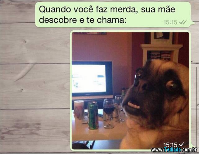 whatsapp-04