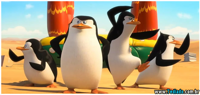09-os-pinguins-de-madagascar