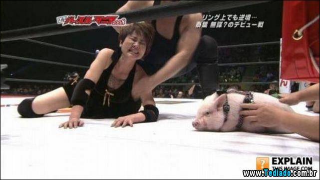 imagens-ineplicaveis-e-estranhas-04