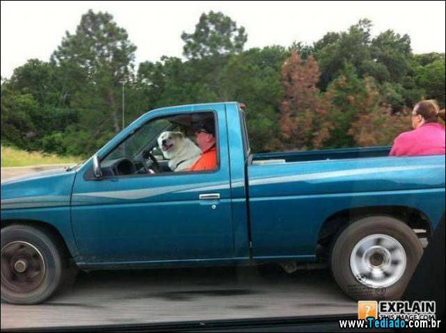 imagens-ineplicaveis-e-estranhas-05