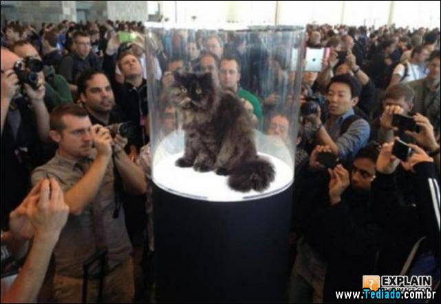 imagens-ineplicaveis-e-estranhas-13