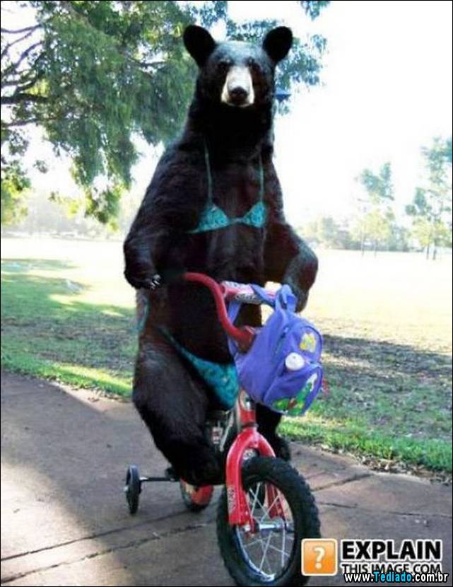 imagens-ineplicaveis-e-estranhas-23