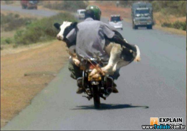 imagens-ineplicaveis-e-estranhas-25