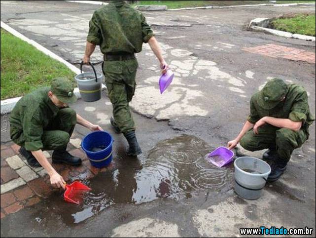 PUBLISHED by catsmob.com