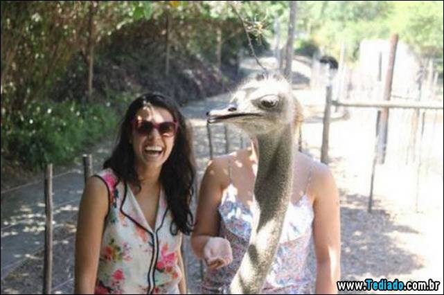 melhores-fotobomby-03