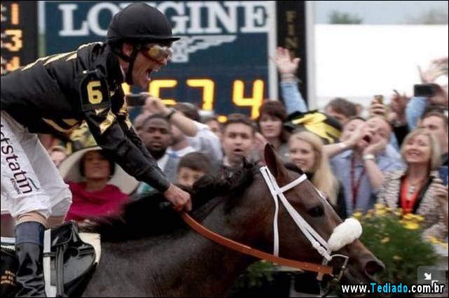 melhores-fotobomby-13