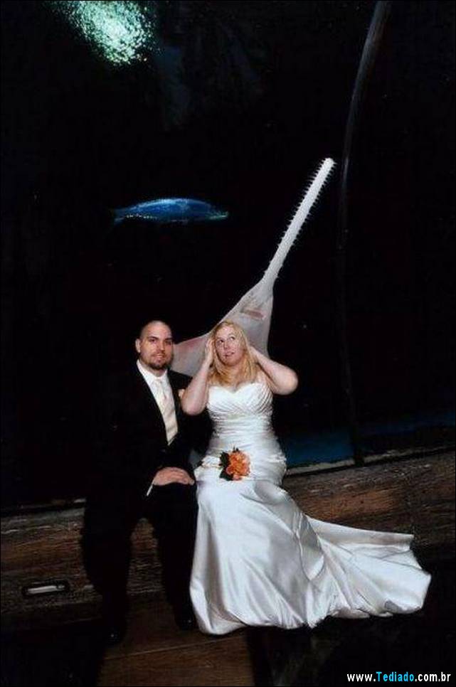 melhores-fotobomby-20