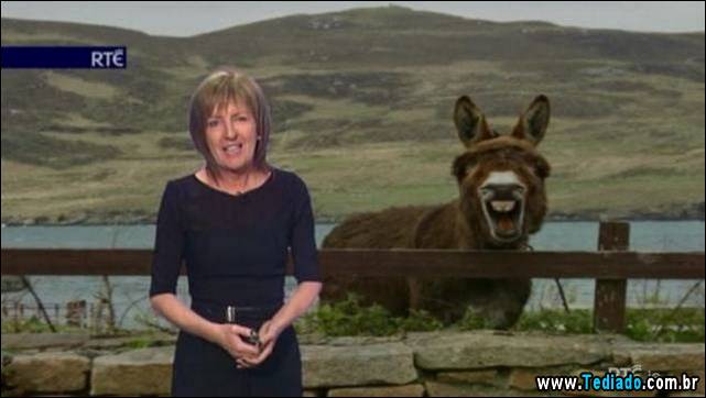 melhores-fotobomby-24