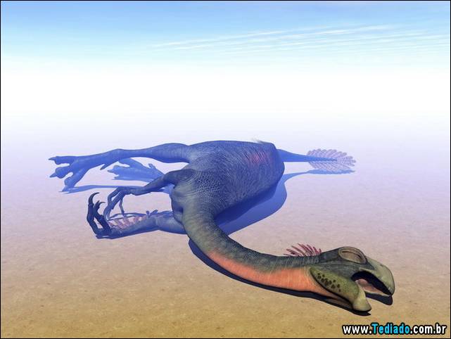 mini-humilhacoes-que-todo-mundo-ja-sofreu-na-internet-11