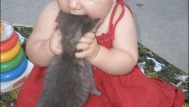 22 pessoas que fazem coisas erradas 42