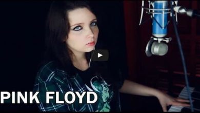 Pink Floyd - Comfortably Numb 9