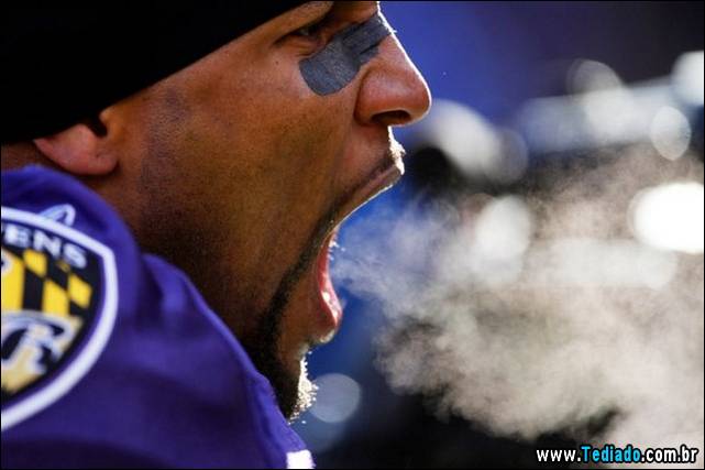 belissimas-fotos-de-tudo-no-mundo-19