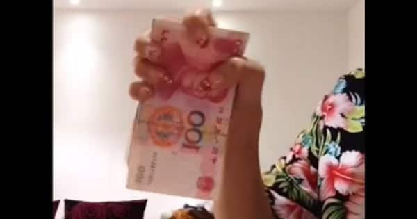 Aprenda como contar dinheiro com oriental
